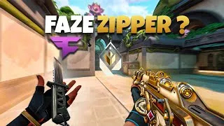 Miniature : FaZe Zipper ?