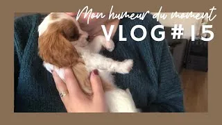 Miniature : VLOG - Mon humeur générale en ce moment