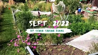 Miniature : Le jardin de montagne en septembre par Sonia