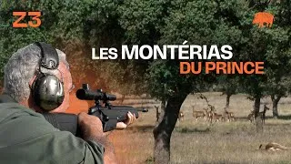 Miniature : Les monterias du prince I Zone300