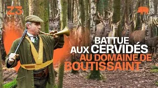 Miniature : Battue aux cervidés au domaine de Boutissaint I Zone300