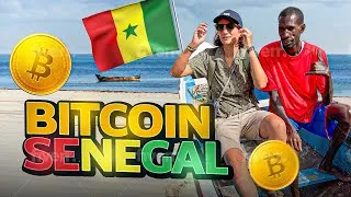Miniature : Je suis allée au Sénégal pour les "Bitcoin Dakar Days"