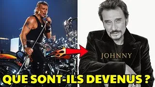 Miniature : Que Sont Devenues les Idoles du Rock Français ?
