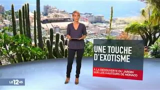 Miniature : Le jardin exotique de Monaco