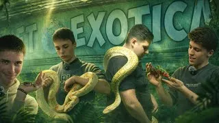 Miniature : Un parc de reptiles UNIQUE en France