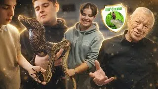 Miniature : PHILIPPE GILLET : immersion chez un passionné aux ANIMAUX EXTRAORDINAIRES 🐍🐊🕷️