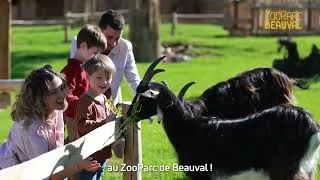 Miniature : Bucolia & Les Terres Rouges : les univers à découvrir cet été