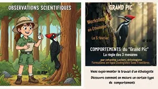 Miniature : Comment mesurer le Comportement Animal?   Workshop en ÉTHOLOGIE  Ep.1