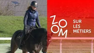 Miniature : Professionnel / Professionnelle du cheval - Zoom sur les métiers