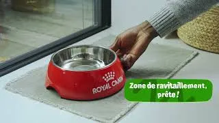 Miniature : Royal Canin Puppy – Début de Vie: Comment se préparer à accueillir un chiot