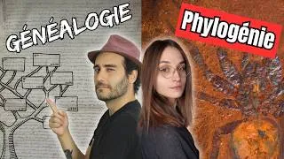 Miniature : GÉNÉALOGIE et PHYLOGÉNIE (avec @terrapodia)