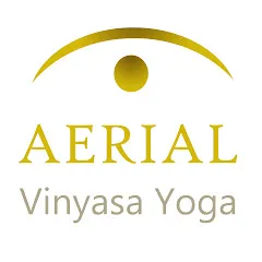 aerialvinyasayoga6175