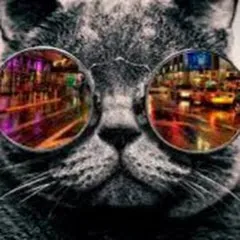 agentspeciali3511