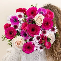 amandinafamily