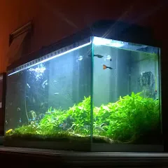 aquaeco8086