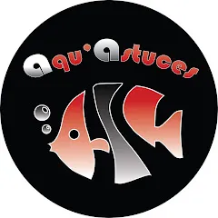 aquastuces2934