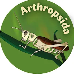 arthropsida1997