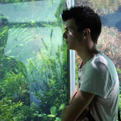 aymeriscapeaquascaping