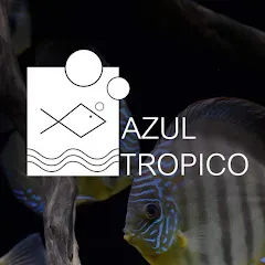 azul_tropico