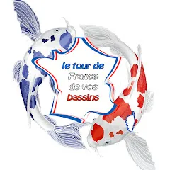 bassinaazofficiel