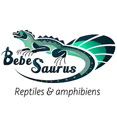 bebesaurus
