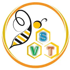 Avatar de Bee SVT