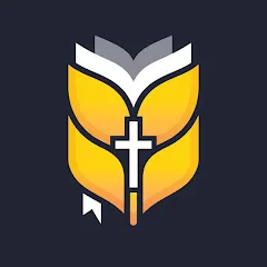 biblevisionfrancais