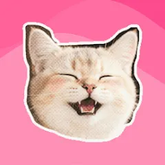 biindecat
