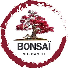 bonsainormandie