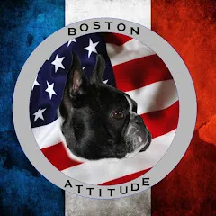 bostonterrierfrance