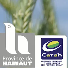 Avatar de C.A.R.A.H. ASBL