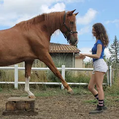 cavalgrena