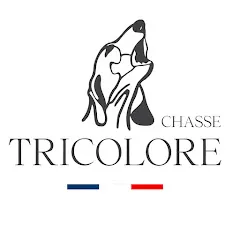 chassetricolore