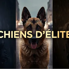 chiensdelite