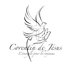 corentinlevangilepourleroy120