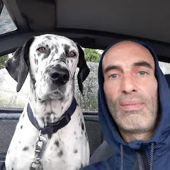 Avatar de dalmata 3.0