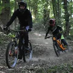 dhornotdh5097