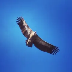 Avatar de Droit de l'environnement