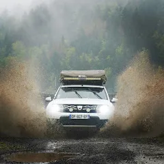 dustandtrip