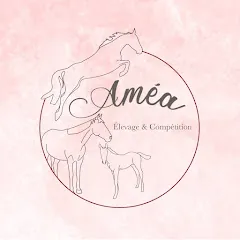 elevagedamea