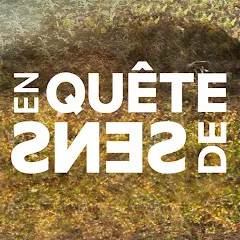 enquetedesens