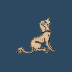 Avatar de Ex Bibliotheca : conserver & valoriser