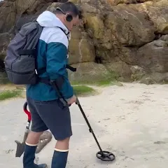 fbvd_detecthor