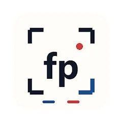 focus-politique