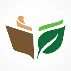 formetoidurable