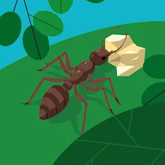 g-ants7