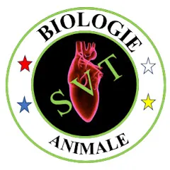 Avatar de Biologie Animale-SVT