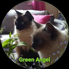 greenangel917