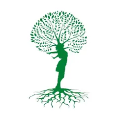 greenstep.education