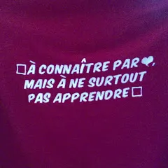 Avatar de Guillaume Hervé